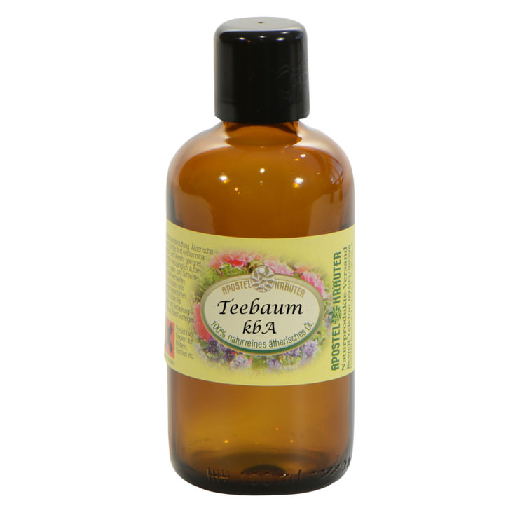 Teebaum Öl kbA – 100ml
