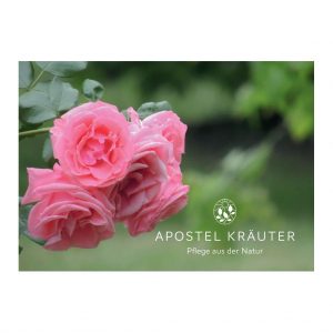 Gutschein rose Gutschein rose