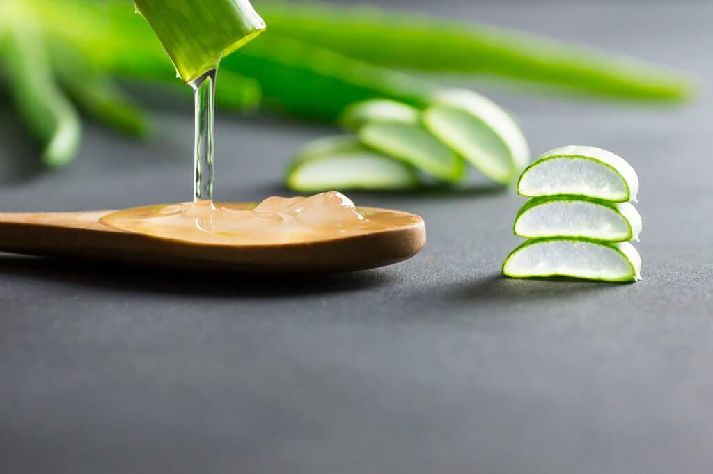 Gel aus dem Blattmark der Aloe vera