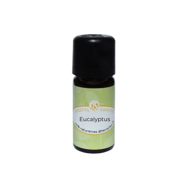 Eucalyptus 100% naturreines ätherisches Öl 10ml