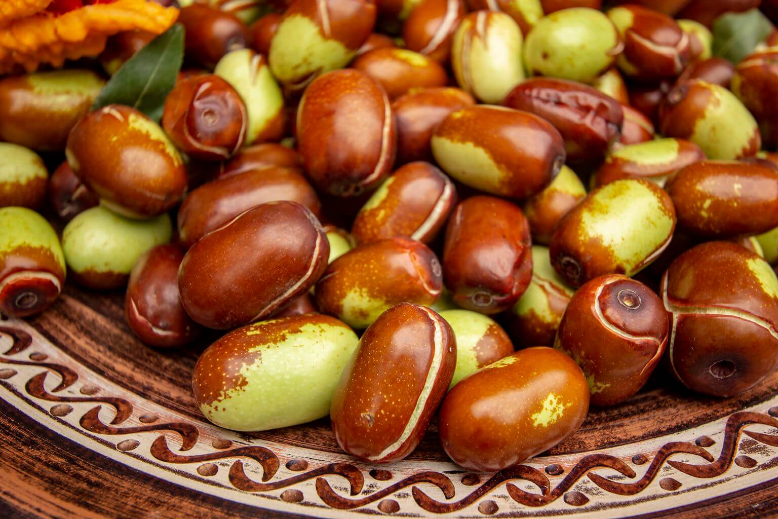 Früchte des Jojobastrauchs zur Öl Herstellung