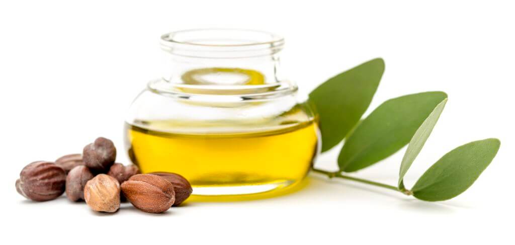 Jojoba Öl aus reifen Samen