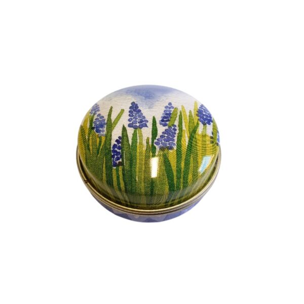 Ringelblumen Lippenbalsam in Schmuckdose Hyazinthe